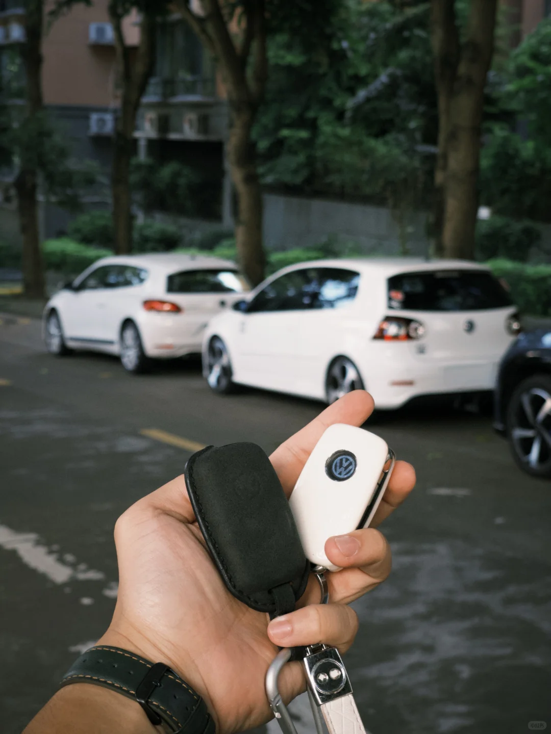 VWs