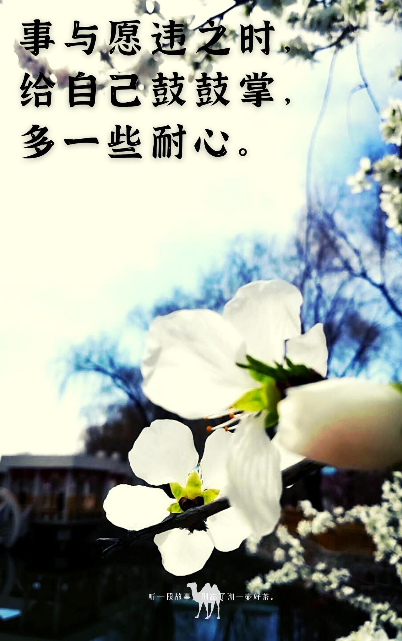 你有没有“突然就不想说话了”的时刻？
不是生气，不是难过，
就是单纯地不想张嘴。