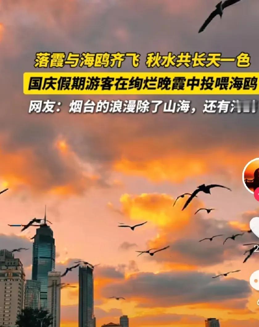 落霞与海鸥齐飞，秋水共长天一色，这是仙境一样的情景，在烟台就能每天都能享受到。
