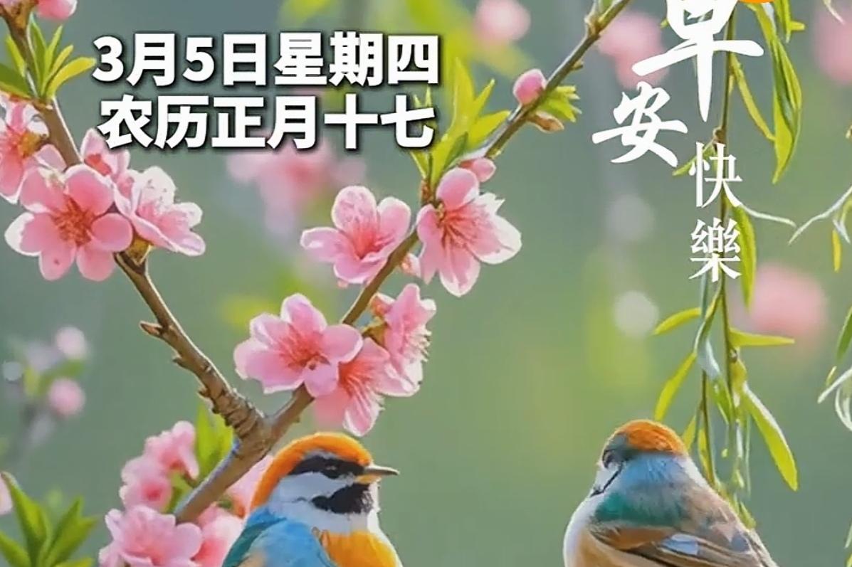 🔥今日惊蛰！春雷醒万物，春城春意正浓。今日正式迎来惊蛰，雷声初动，万物苏醒，蛰