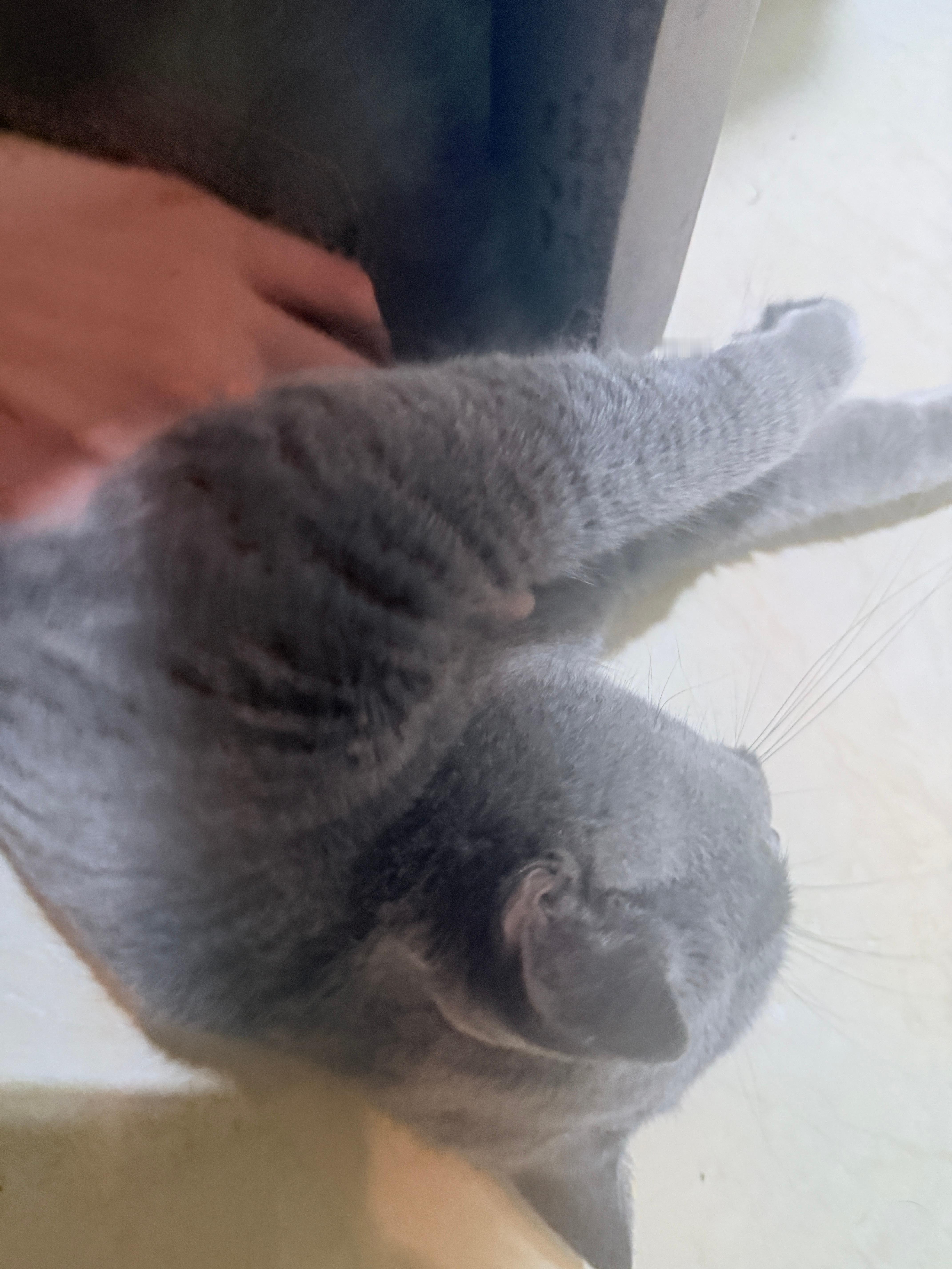 分享图片 ​​​