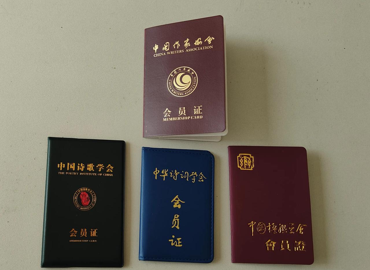 中国作家协会员(2025、9、1)
​中国诗歌学会会员(2023、5)
​中华诗