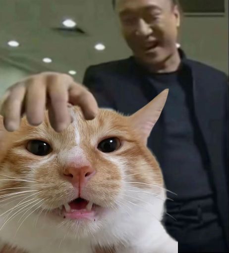 完全直播大王 拿捏🫳🏻🫳🏻 