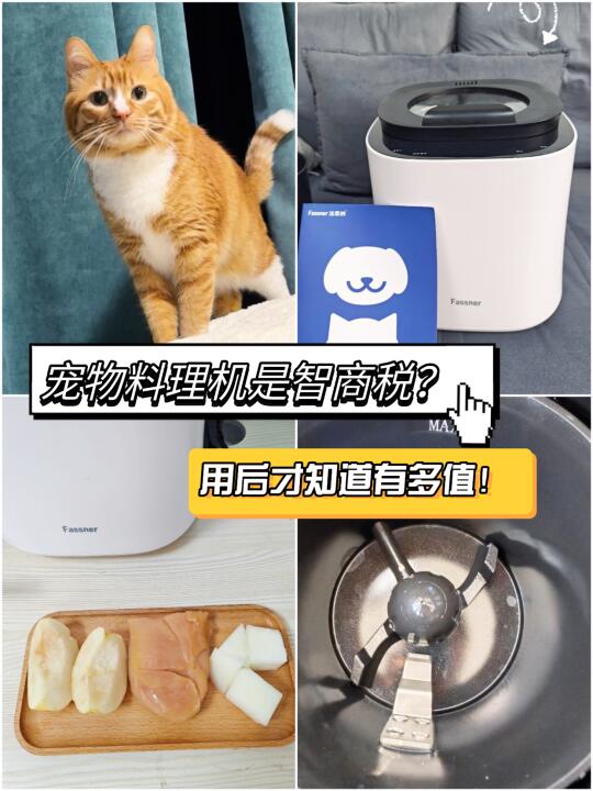 宠物料理机是智商税？用后才知有多值！