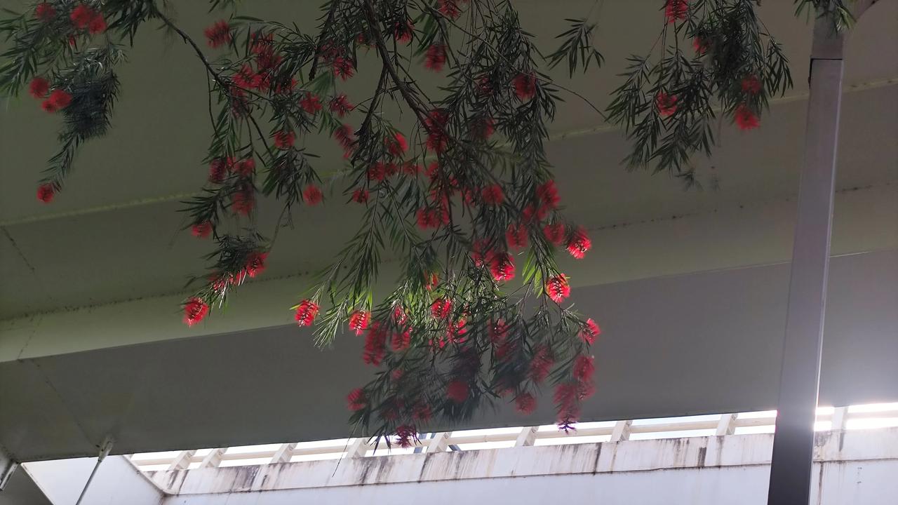 分享一张自然风景的照片，镜头里的风景！