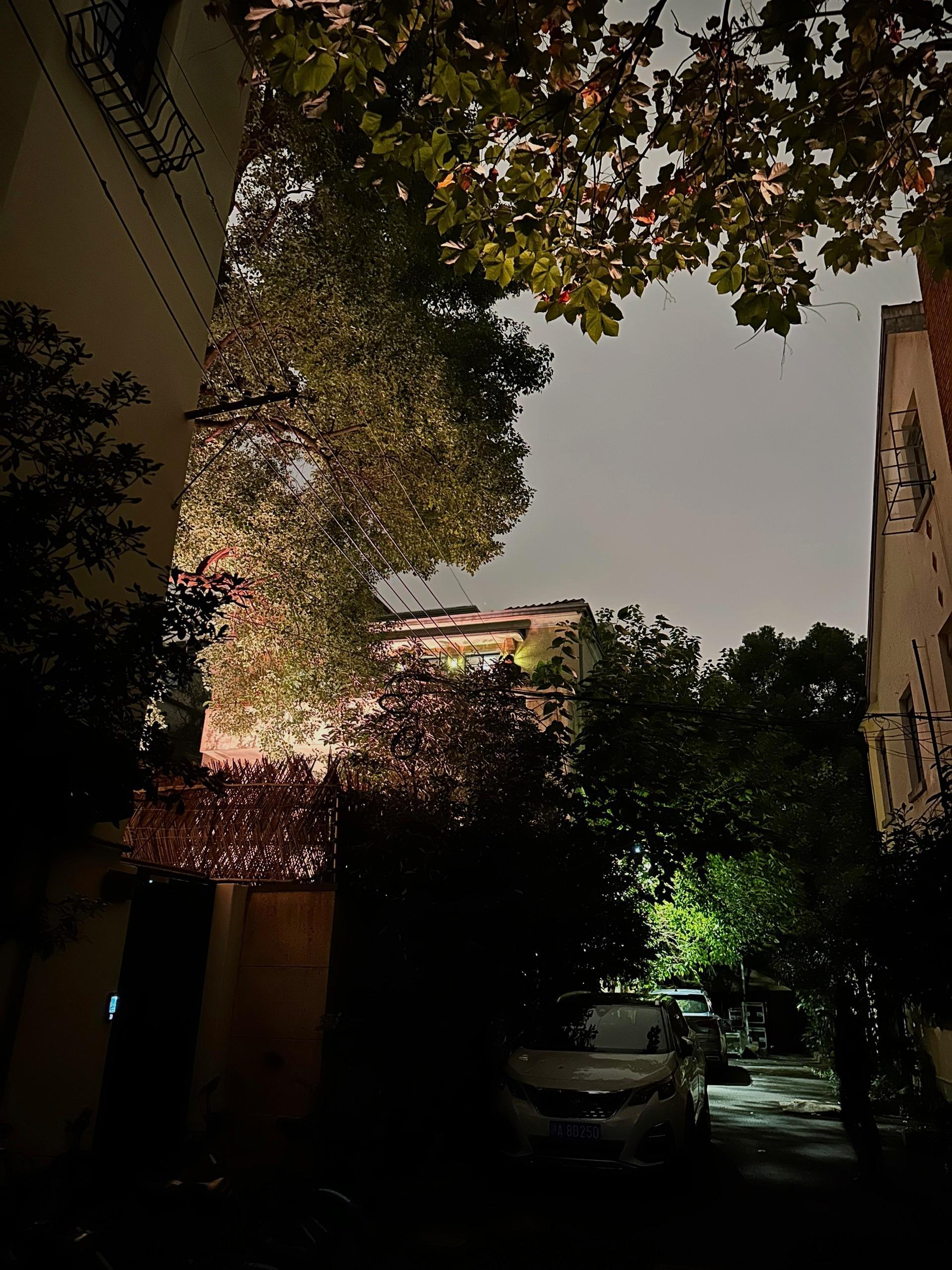 出门散步。晚饭吃得又饱又热，所以并不觉得冷。这弄堂口一直经过，倒是第一次走进深处