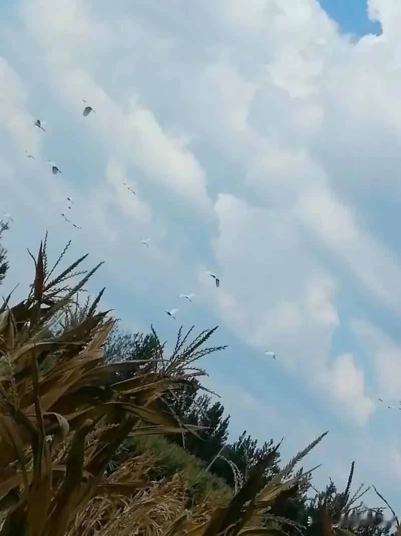 孩子放学了，作为父母你会不会让ta拿手机玩一会呢？

问过身边的几个同事，他们说