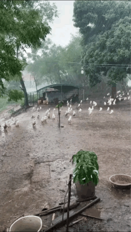 下雨天发生了不可思议的事情