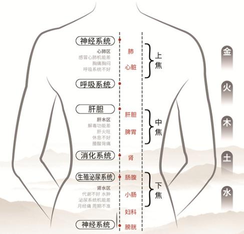 人体8大存款
    
[玫瑰]1心的存款-拍肘窝；
[玫瑰]2肝脏的存款-伸懒