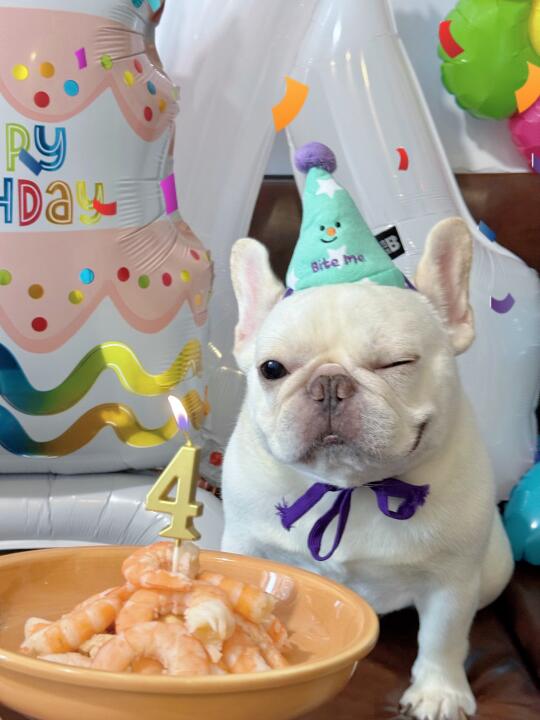 嘘～🤫轮到我许愿啦🎉