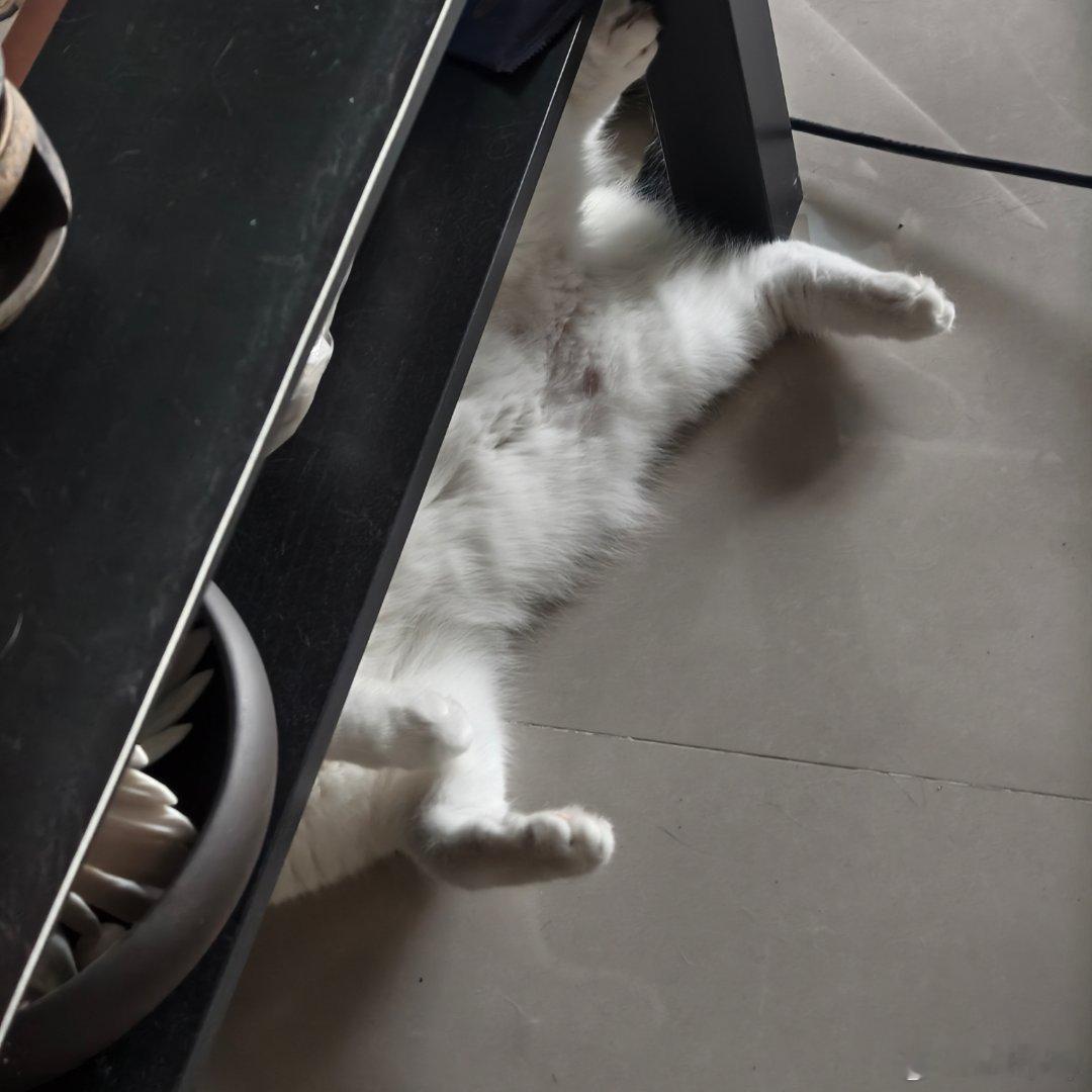 我以为这猪噶了[微笑] ​​​