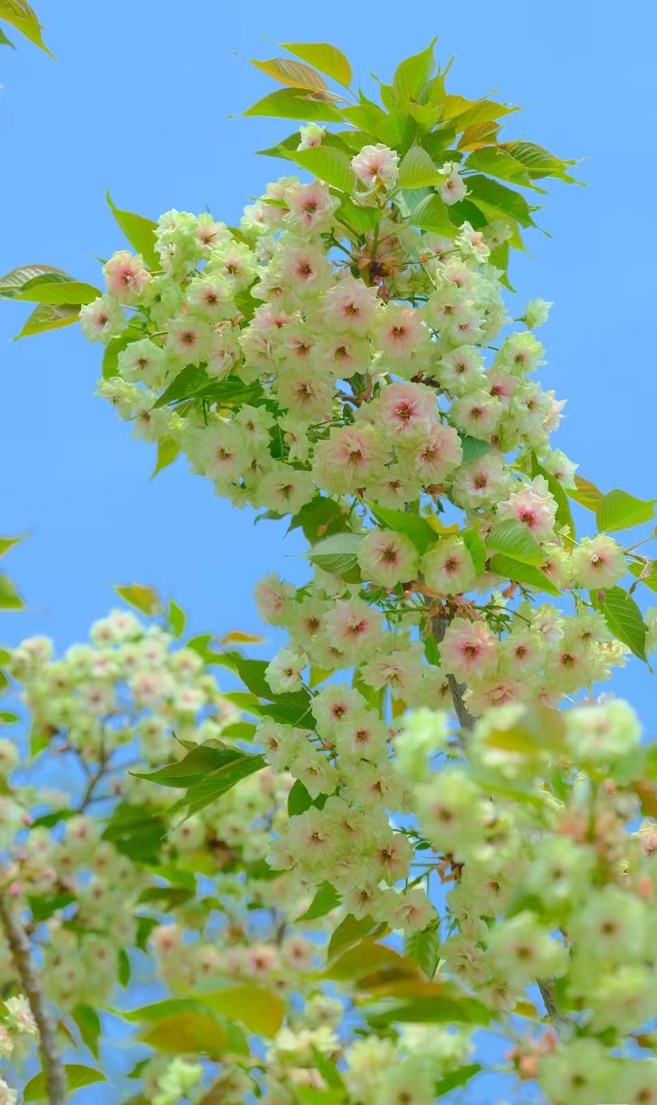 一段让人醍醐灌顶的话：

“人与人之间最大的区别就是“出门”，呆在家里能量是静止