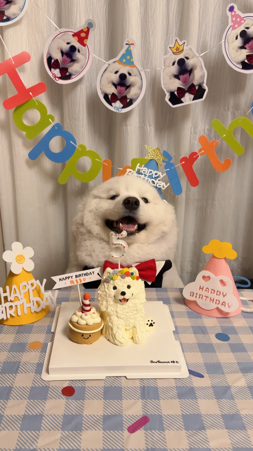 五岁的陈多多 生日快乐呀