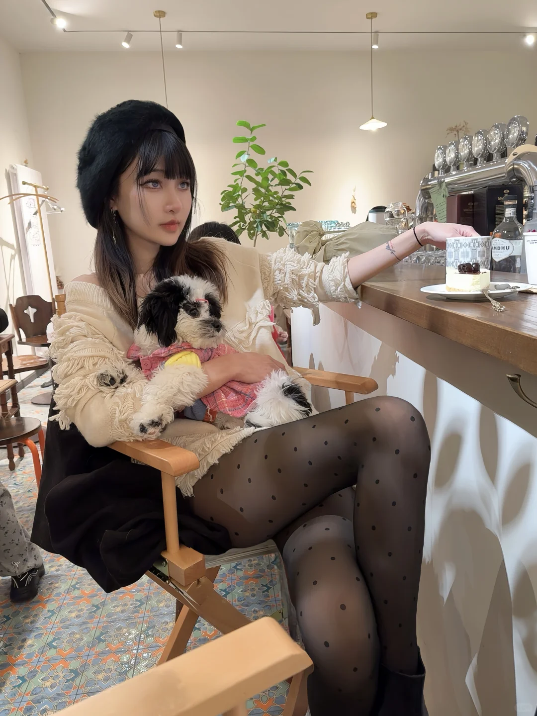 狗狗在使馆区的下午茶🫖