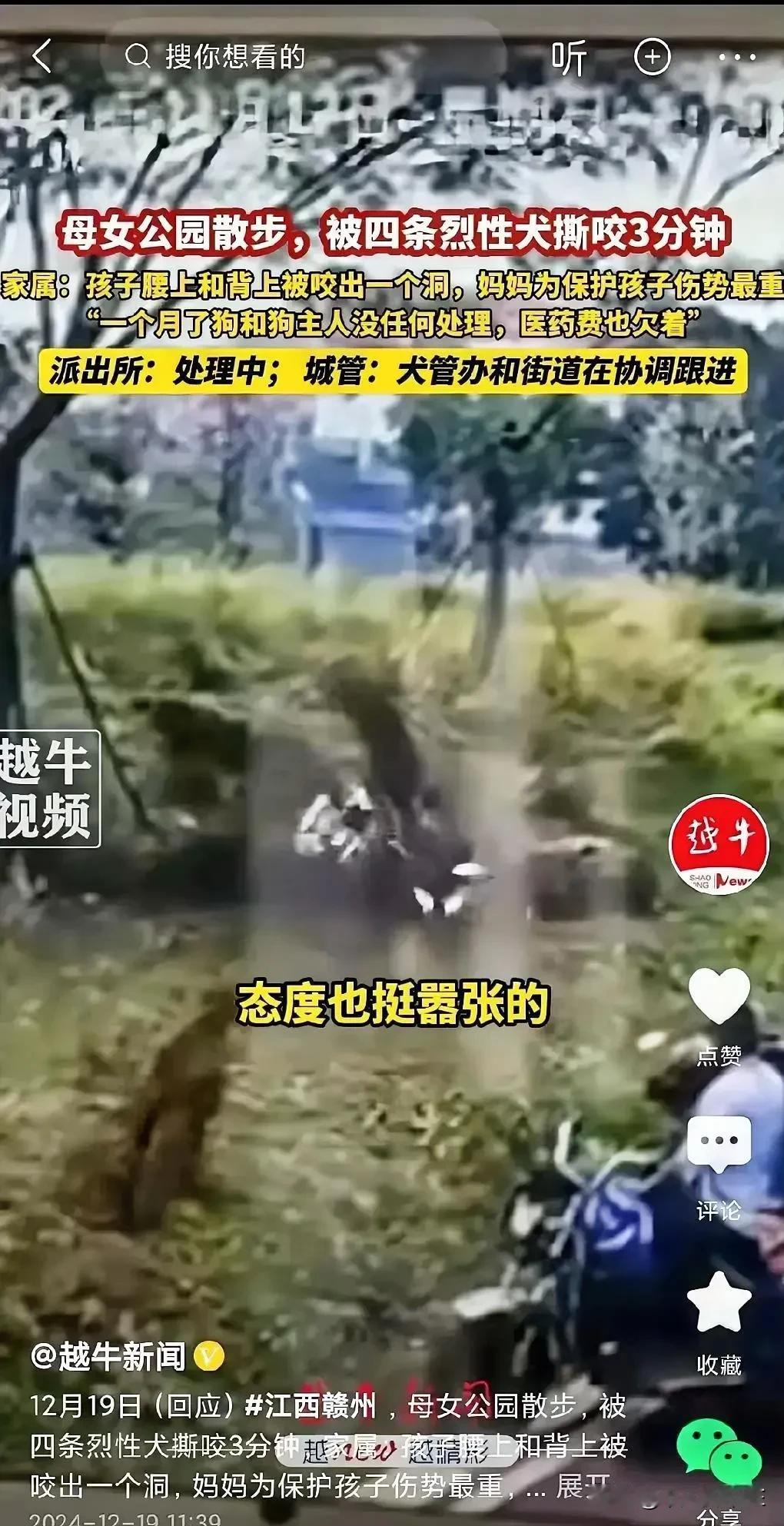 关于赣州地区大型犬只管理情况的说明

近期，关于赣州地区四只大型犬只的证件情况及