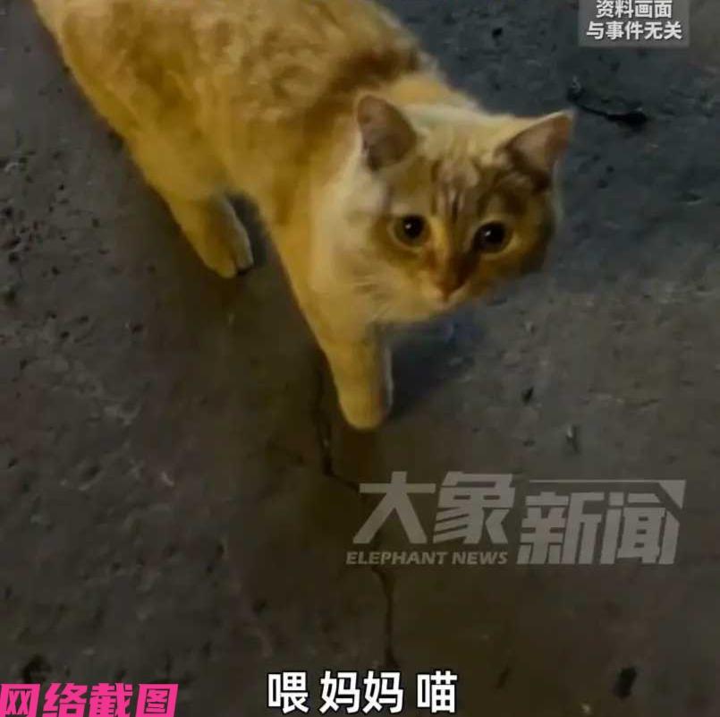 天津有男子这日喝了酒犯糊涂，这不看到眼前有人张贴的寻猫启事，还慎重其事拨打了上面