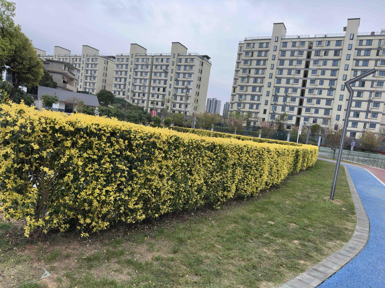 今天给母亲做血透打针的是一位实习生，我有点不放心，就对她说：我母亲上周五夜里针口