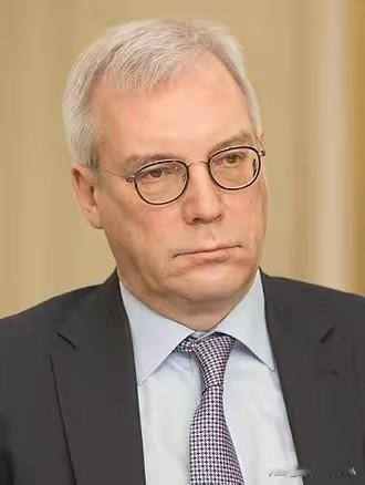 俄罗斯副外长格鲁什科说，只要欧洲停止对乌克兰军事武器援助，和平就会到来。

当地