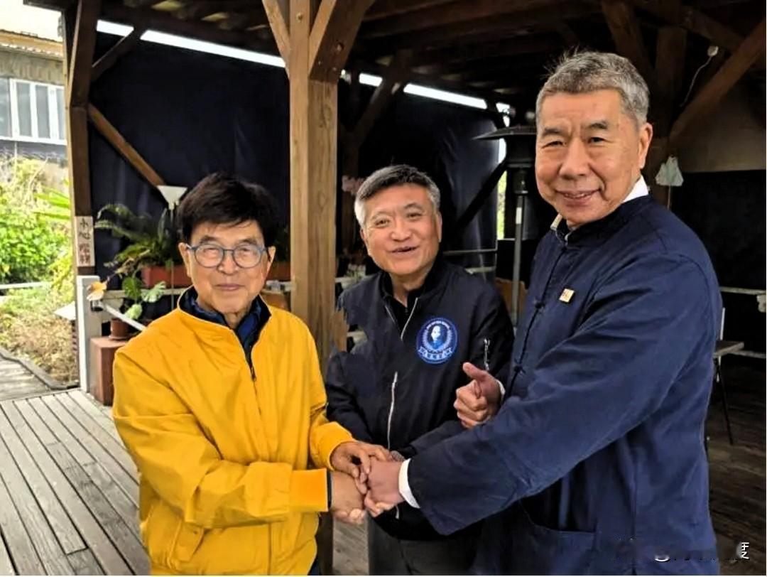 叶耀辉花莲初选失败不认输，张亚中牵线搭桥，何启圣和叶耀辉结成失败联盟，三手紧握，