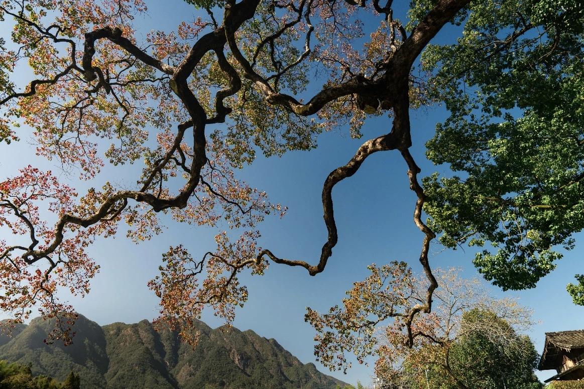 【言能暖人，亦能伤人；无论什么时候，一定要管好自己的嘴巴，尤其是和朋友交谈时，不