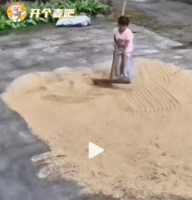 6分钟抢回全家口粮 5岁女孩暴雨前急哭 邻居小孩加金毛抢救粮食