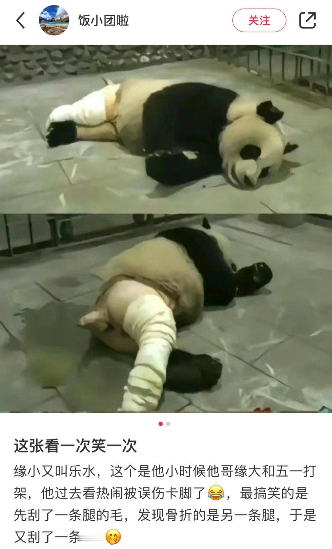 哈哈哈 都改名换姓了还不放过我[笑cry] ​ ​​​