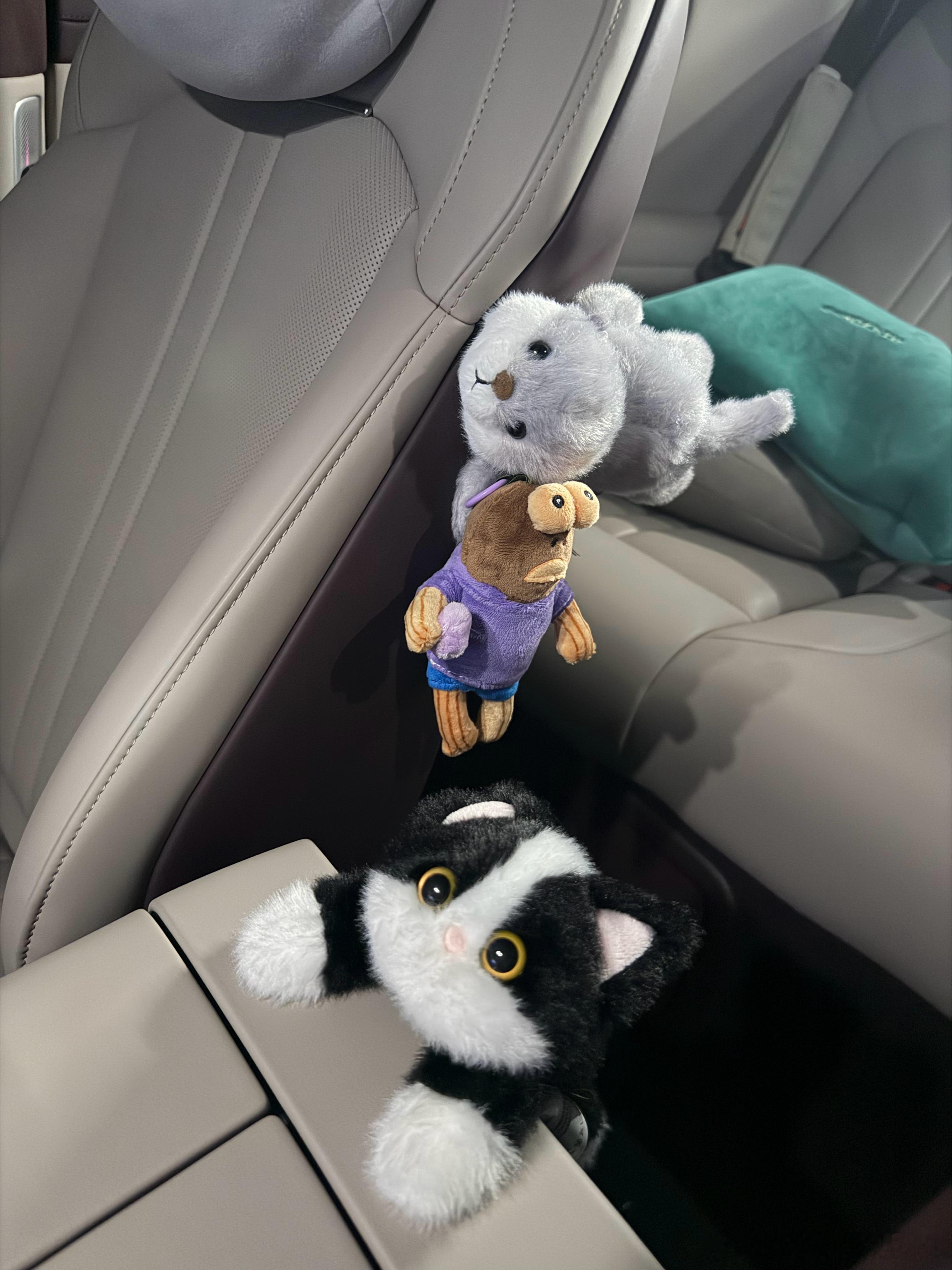 我以前其他车里从不放其他东西，现在小米YU7里，莫名其妙出现了一堆各种磁吸卡通玩