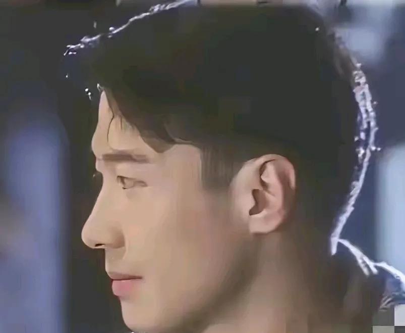 带你欣赏几位帅哥的侧颜，正面看一个个都帅得惊艳，再看看他们的侧颜同样完美，那怪总