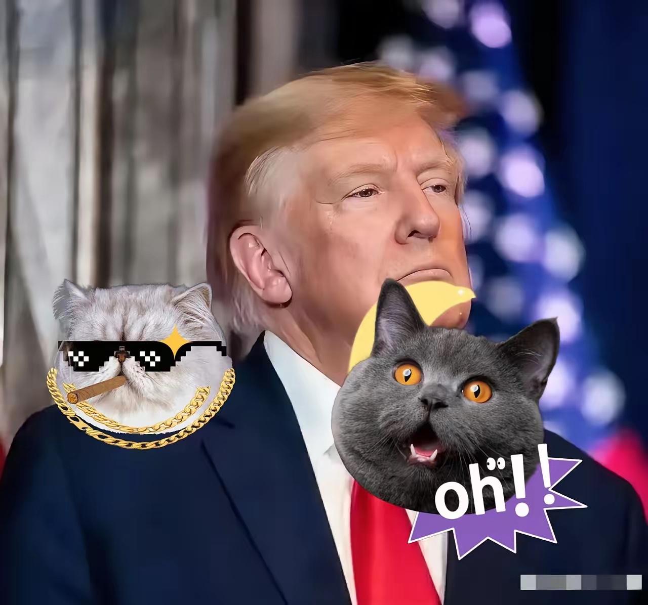 快讯！快讯！
特没谱真的没救了
特朗普在镜头前公然指责尼克松打开了中国的大门，将