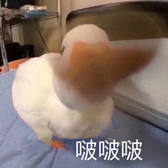 张若昀 终于是范闲了