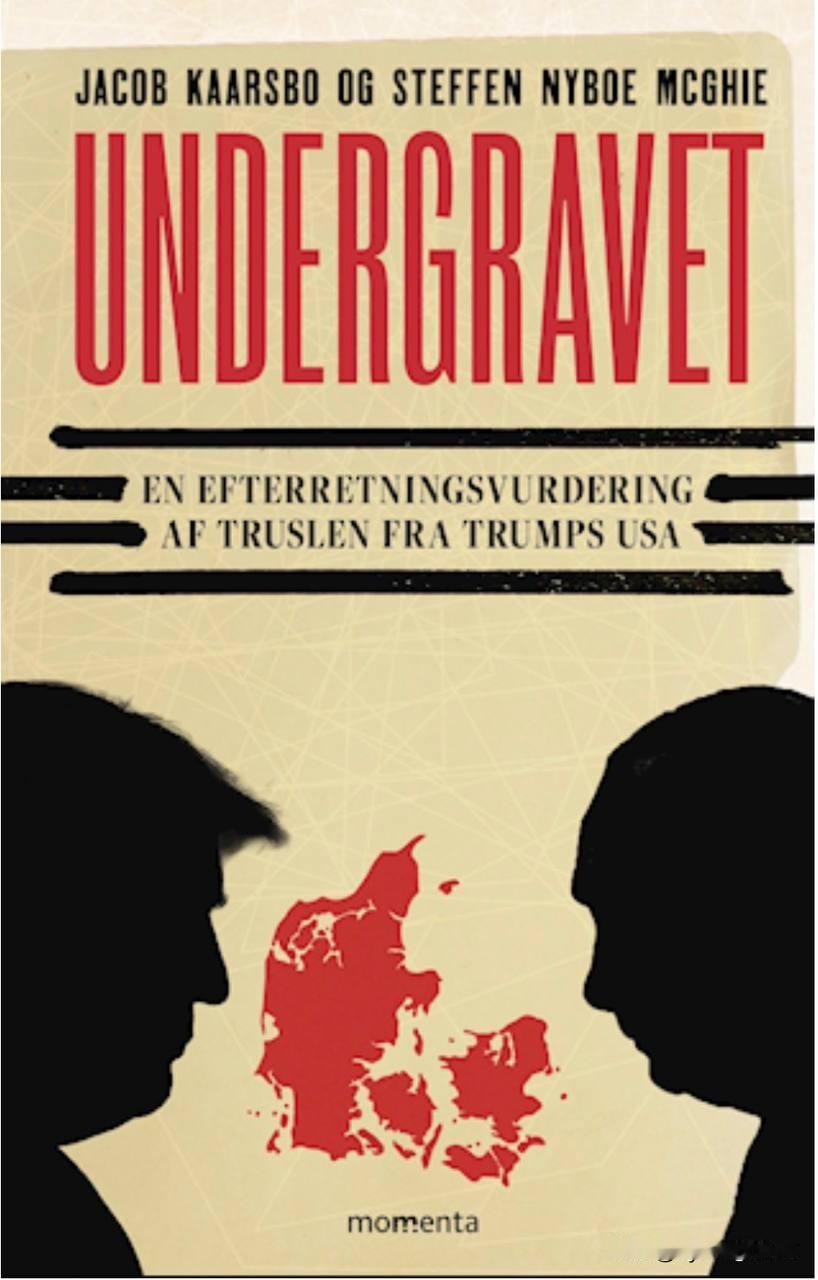 《颠覆者》瞧瞧这本即将在丹麦出版的精彩书籍！光是封面就值回票价！两个不祥的阴影，