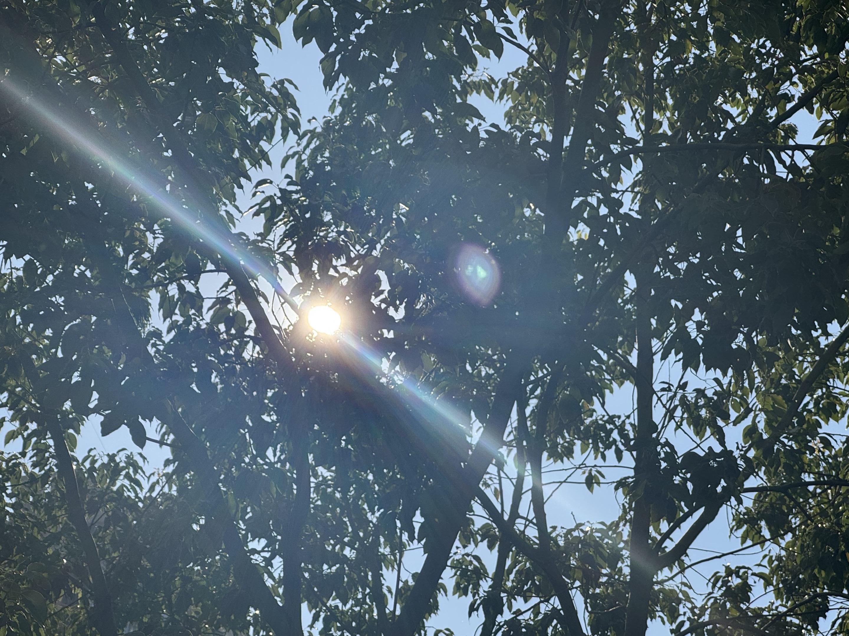 “爱是关注的质量”爱是关注的质量，从不是365天早晚安的形式堆砌。而是...