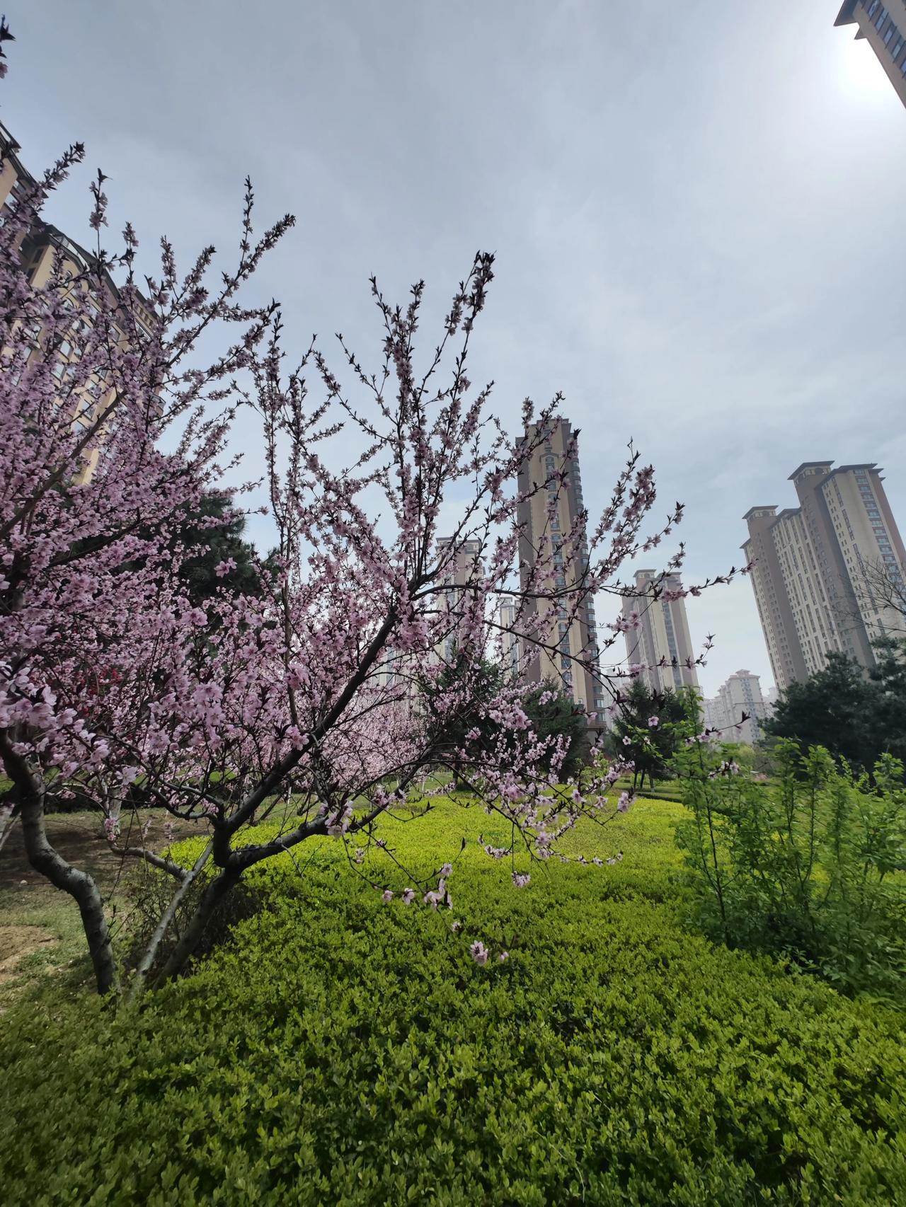 香港34年来，首次出现各种店铺、影院、商场关闭潮。香港是高度自由贸易地区，国家对