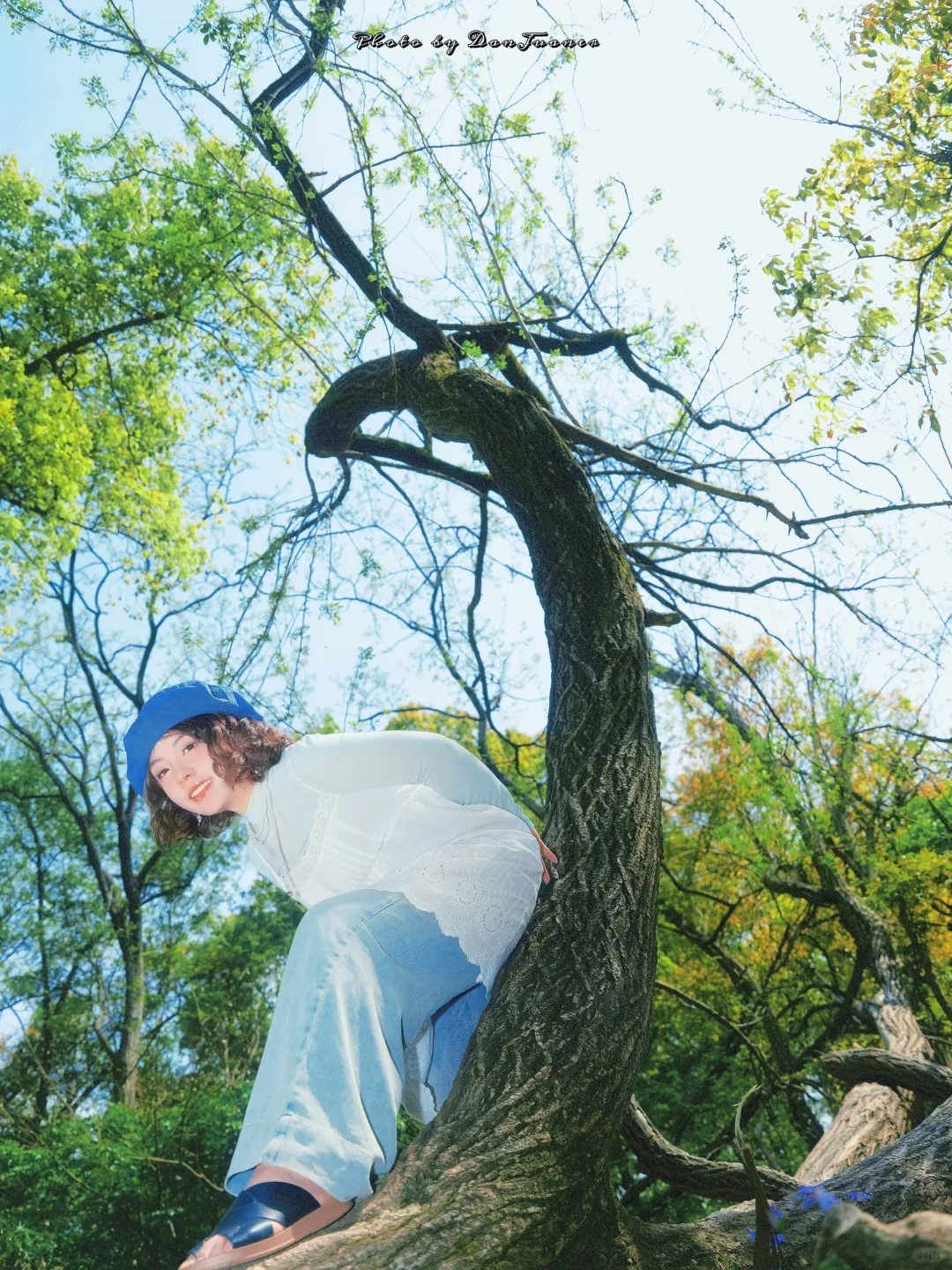 超级有生命力的🌳｜长春约拍