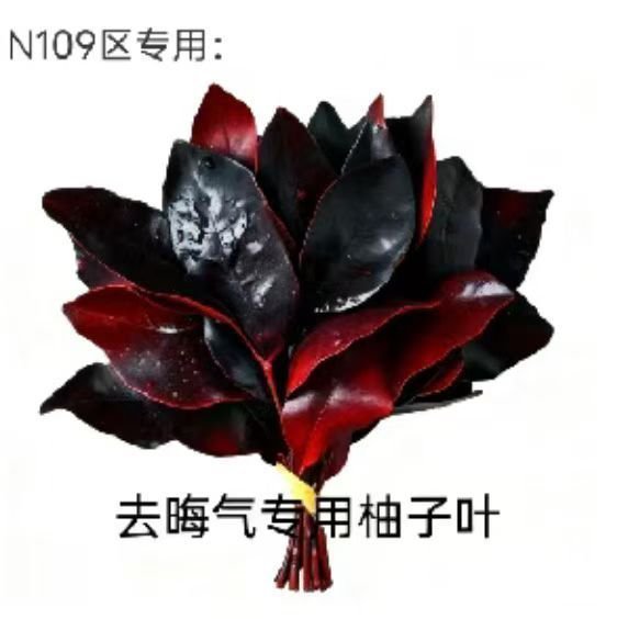 神经 去去晦气 