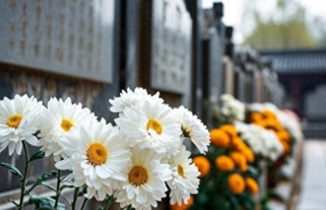 新的殡葬制度将于 2026 年 3 月 30 号执行，大概意思就是：一切从简，城