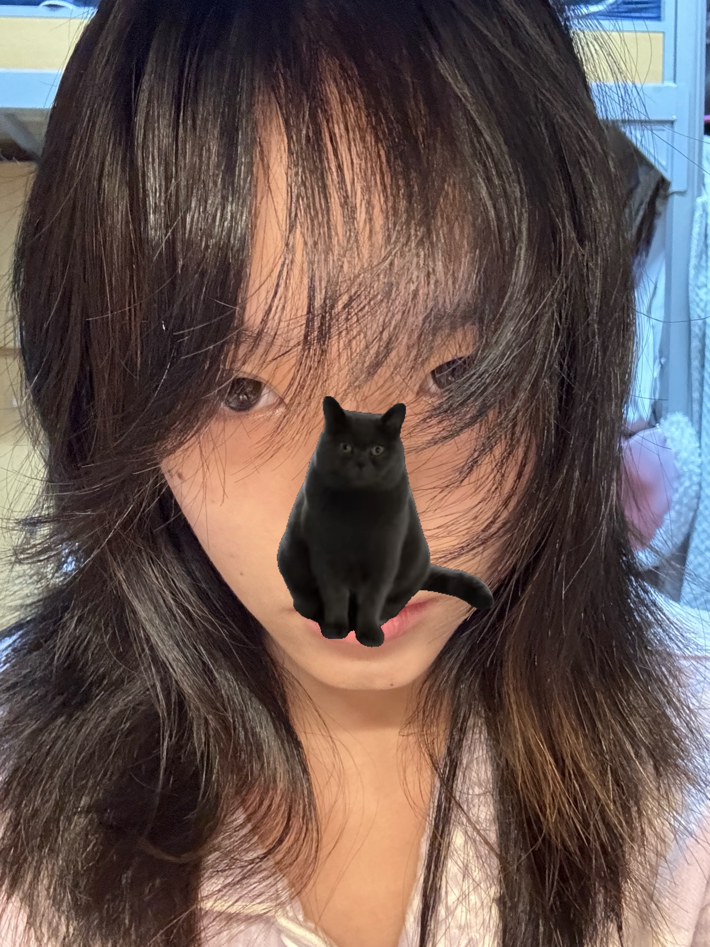 哦的头发肿么这样子了。 ​​​