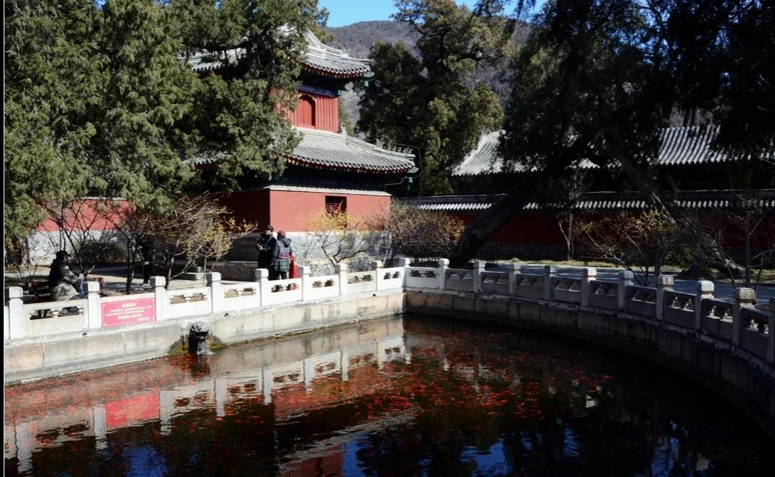 #秋日生活打卡记# 
秋意渐浓
秋天之美
在于
色彩的丰富
萧瑟的深沉
澄明的清