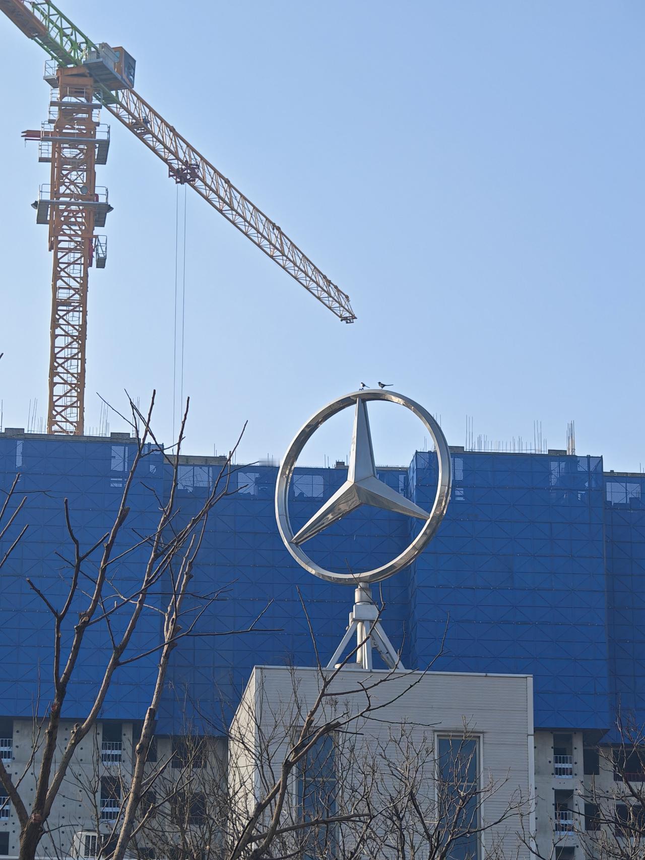 路过的这家奔驰经销大店头顶的星徽已经停转大半年了。身后的高端楼盘已经层层拔高而起