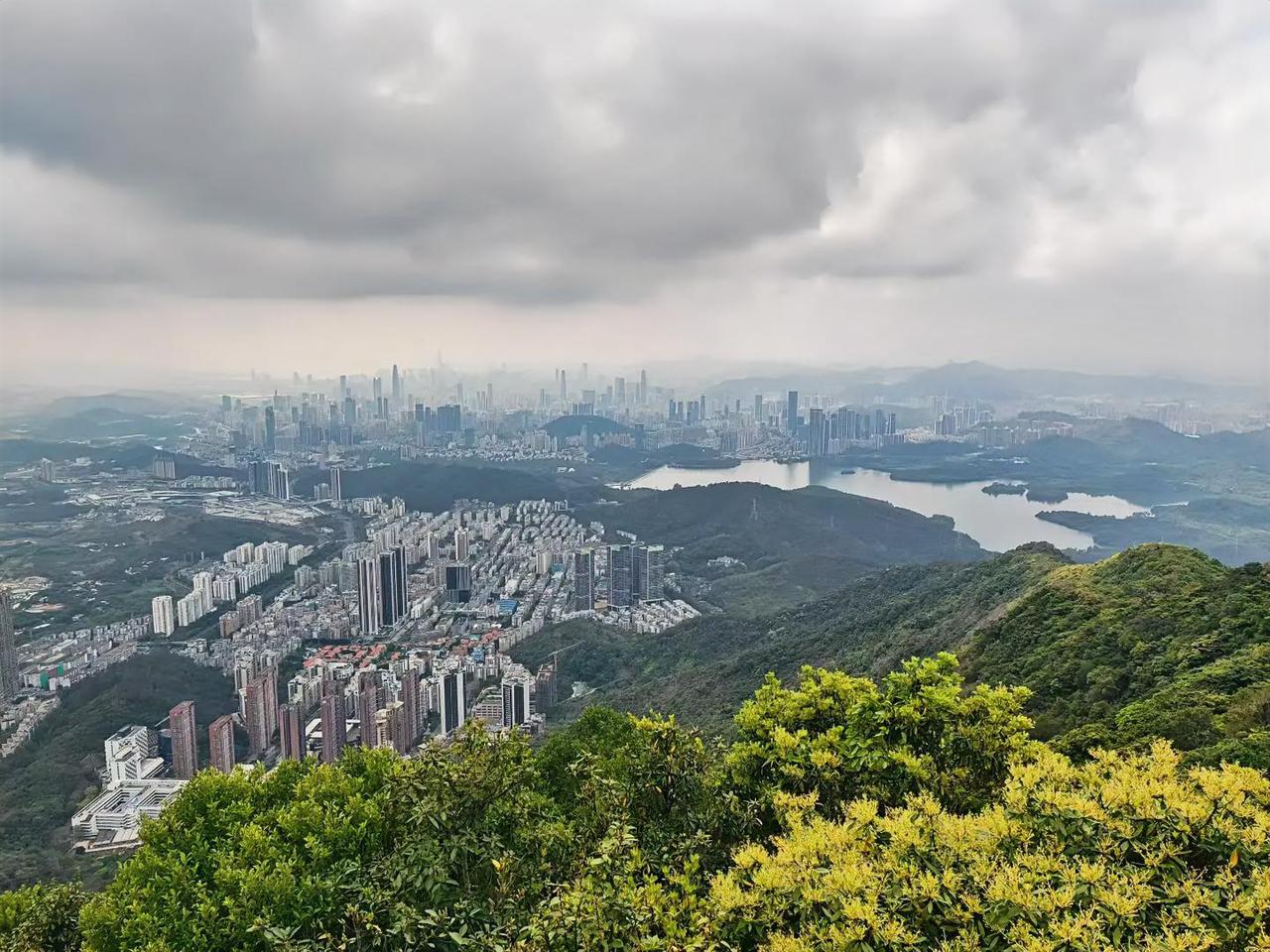 湖北的孩子真的太可怜了！

我现在才知道，

湖北的孩子还没出生就开始卷学习了。