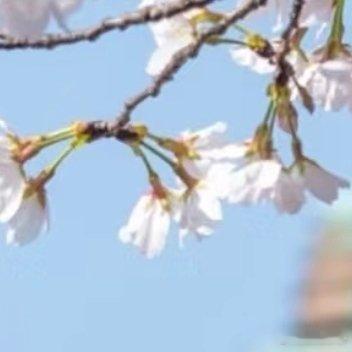 一切都是为了阳光信用毕竟好久都没怎么涨了 一起保护大自然 与社会携手做公益 关爱