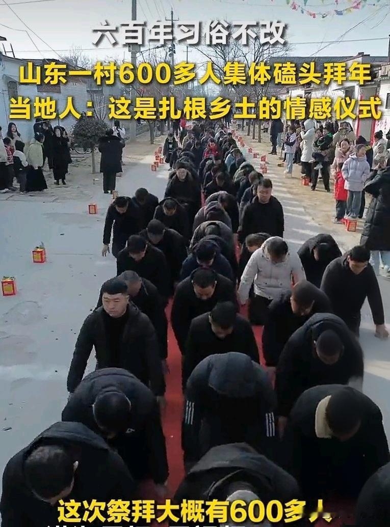 山东600人集体磕头拜年！这不是陋习，是刻在骨子里的传承！

大年初一，天刚蒙蒙
