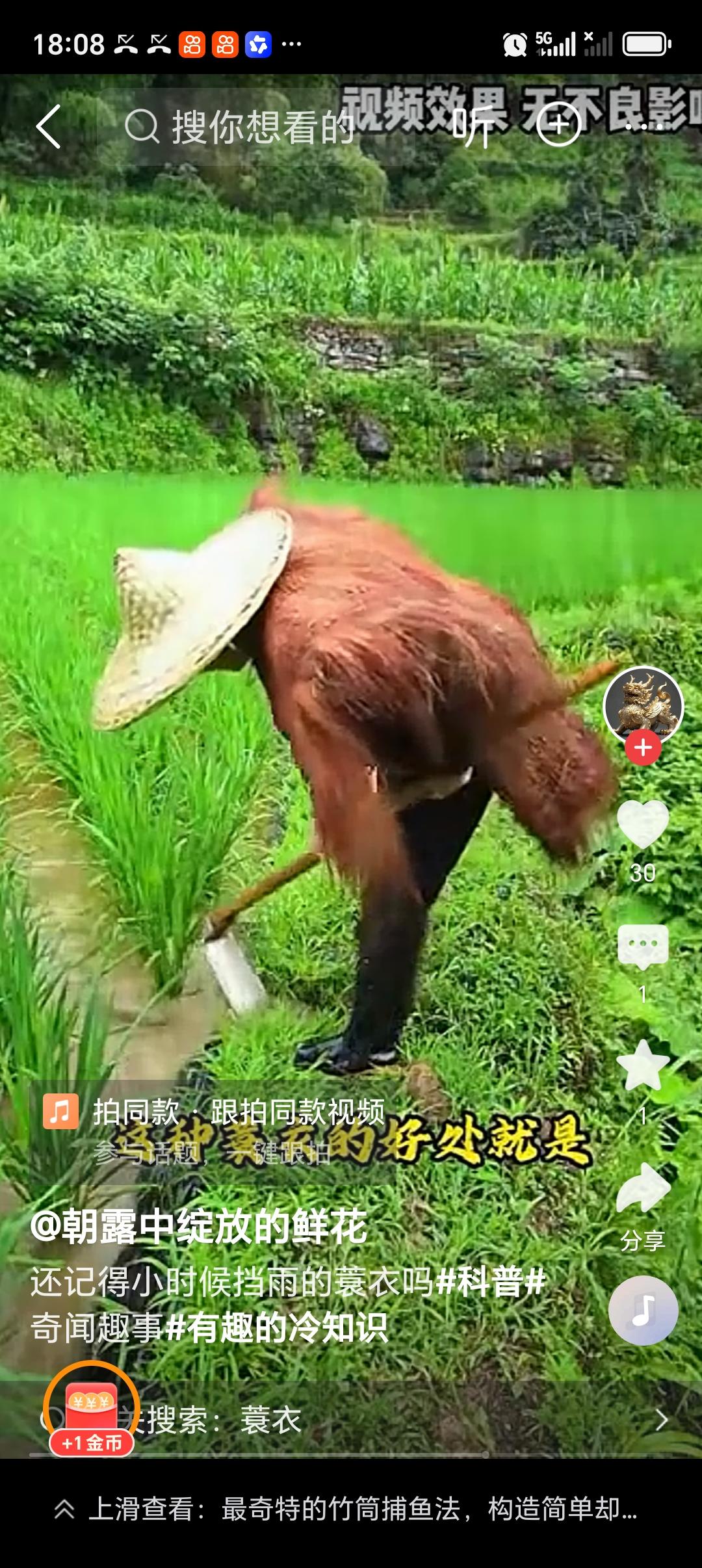 古人的蓑衣如何“穿”越千年风雨 古人的蓑衣能“穿”越千年风雨，真的很神奇。在古代
