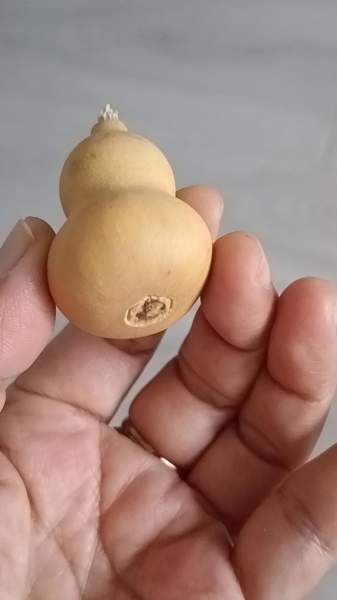 放下执念，守好心态
好好爱自己
人和木一起，休
人和山一起，仙
心态豁达，和自己