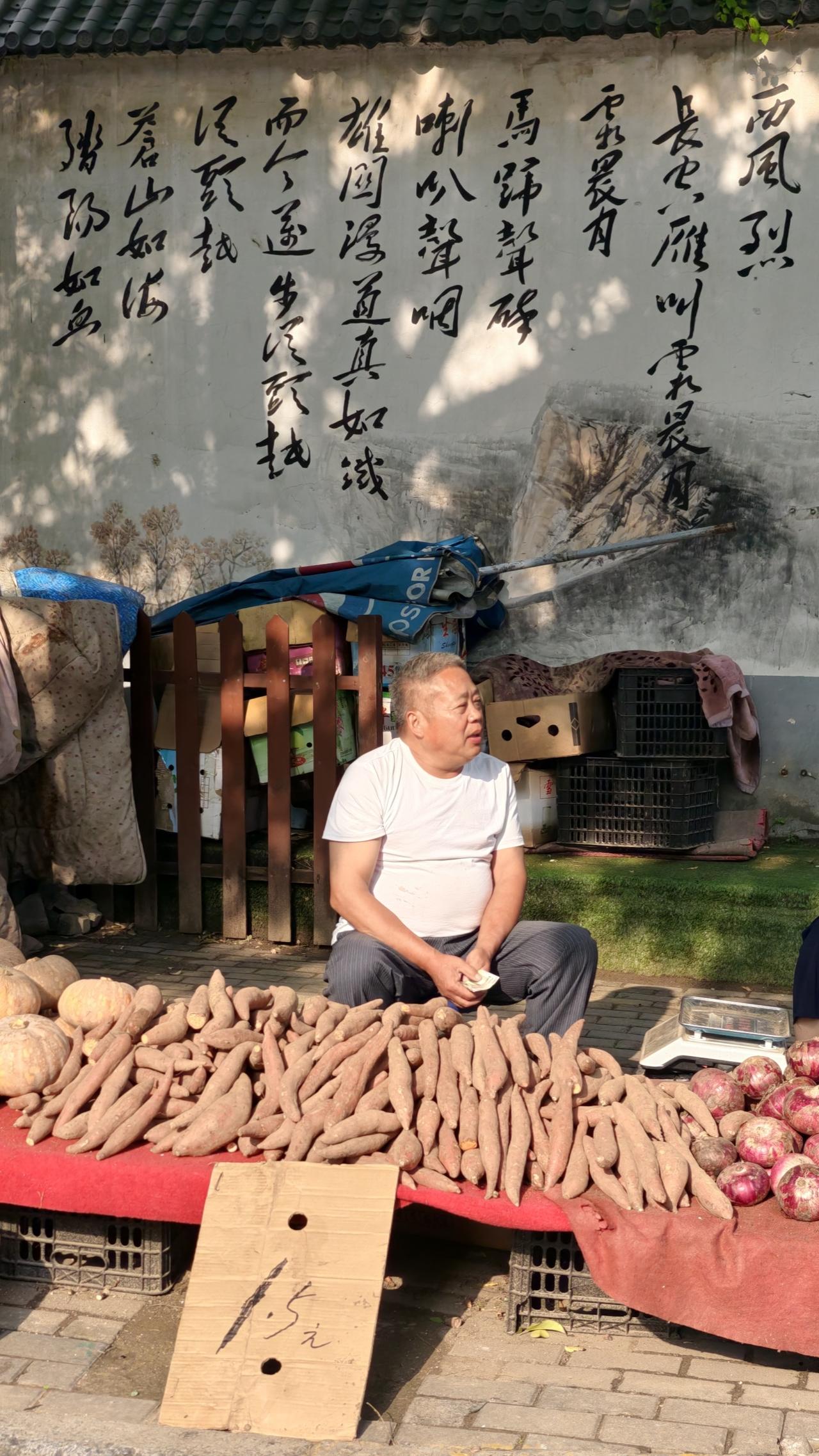 分享一张最近随手拍的照片