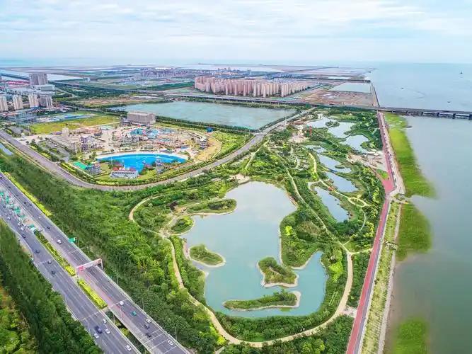 渤海在治污而非改造？6月那场联合行动已经说透了。
 
2026年6月5日，津冀辽