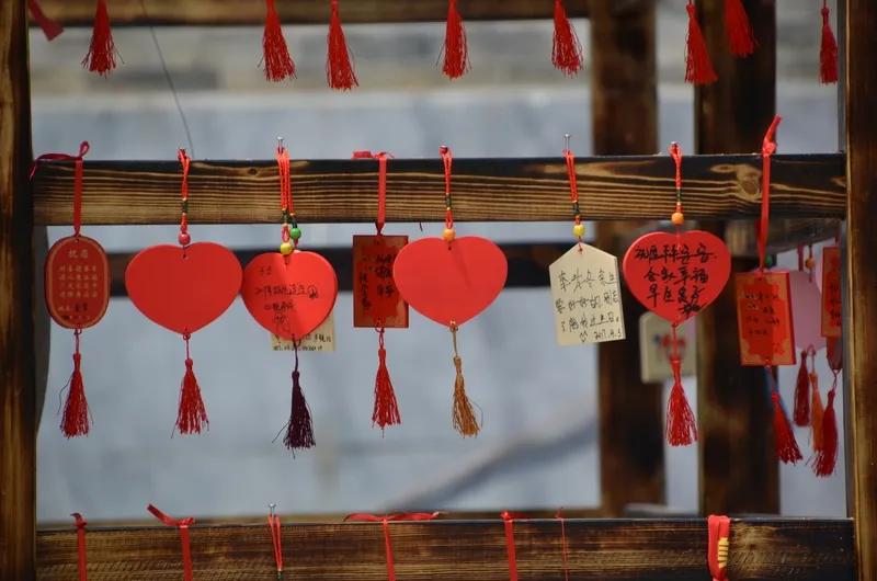 <鹧鸪天·观雉群>
 
木架横陈映日辉，雉群闲立沐清微。
颈环素练如仙带，羽缀丹