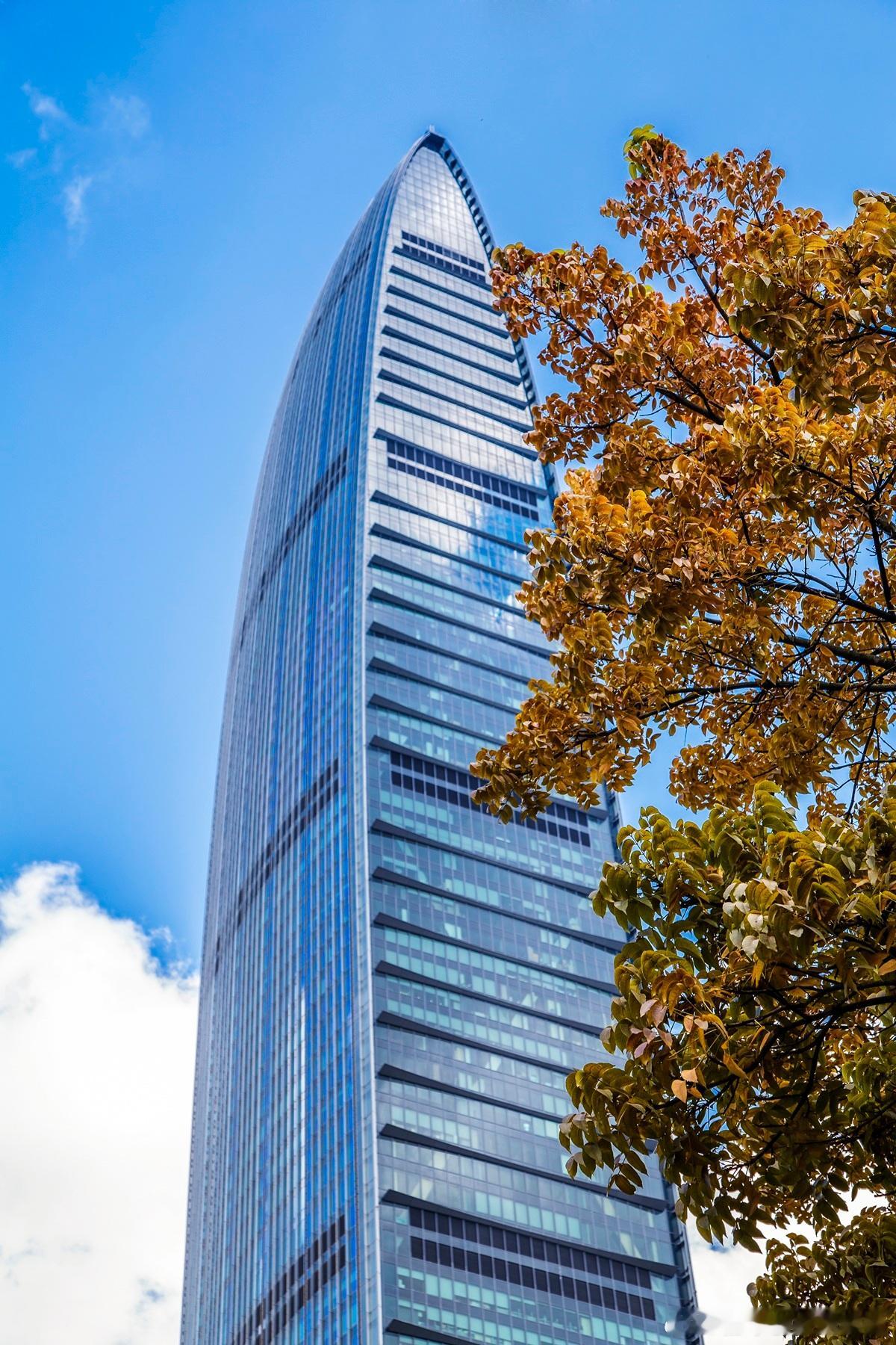 注册资金多少合适？新《公司法》下，记住这几点！五年之内要缴清，“认缴”不等于“不