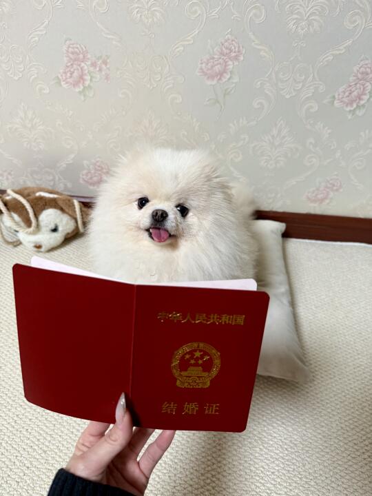得到了小斗的肯定！