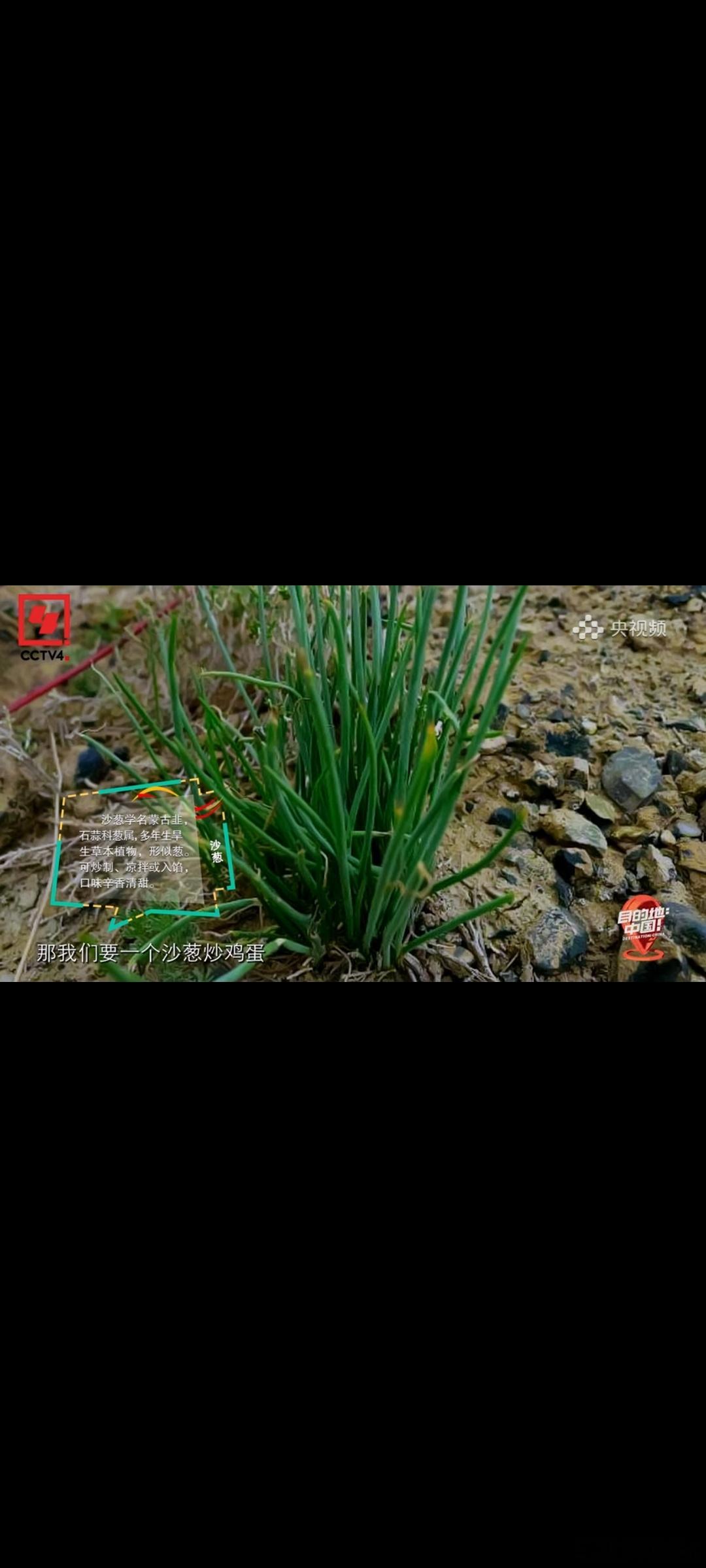 免签老外闯塞北 不白来都不白来历史、手艺、美食全打包，连老外都玩到不想走，咱自家